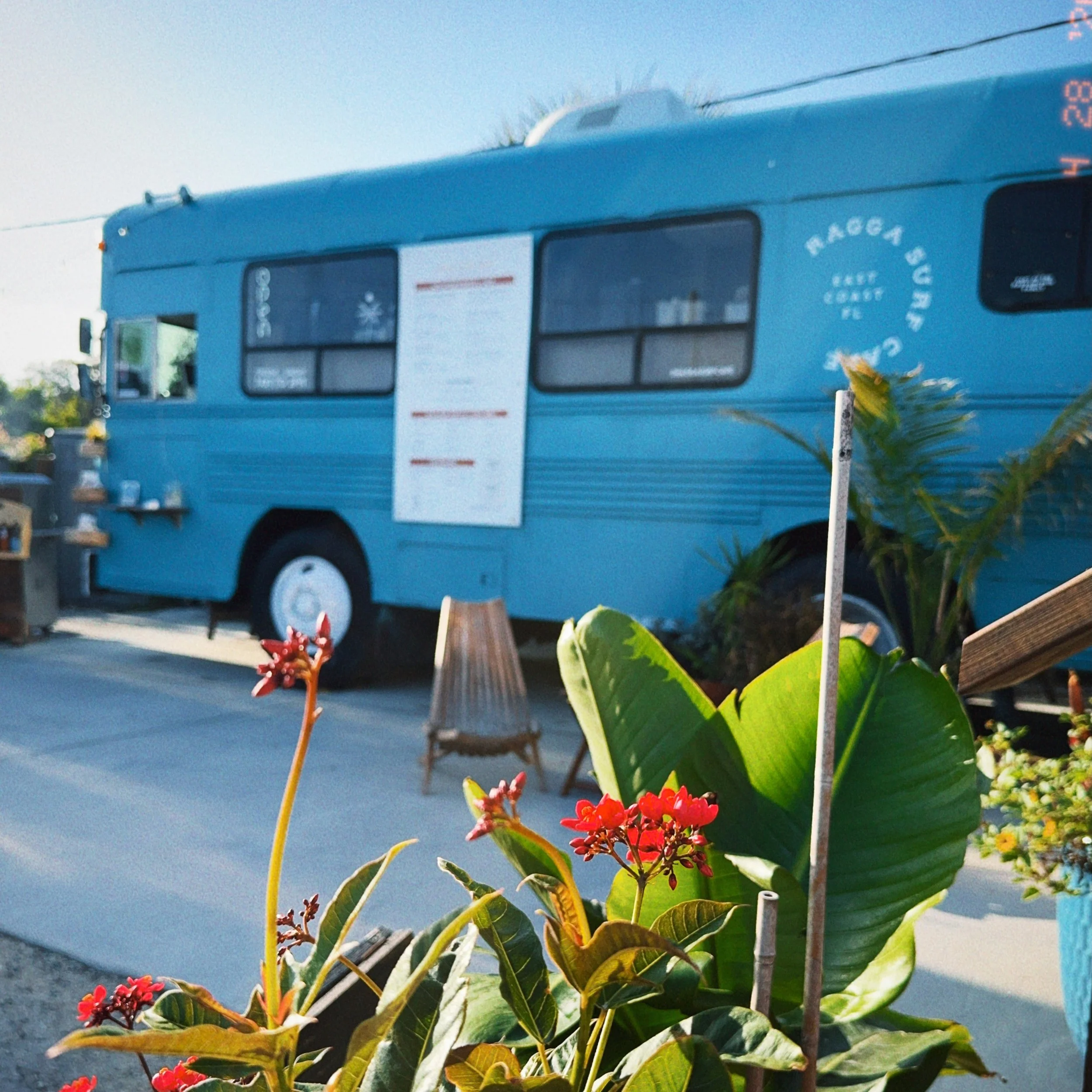 Catch you this week at Ragga Tuesday to Sunday 7am to 2pm 😎

#raggasurfcafe #staugustinefl