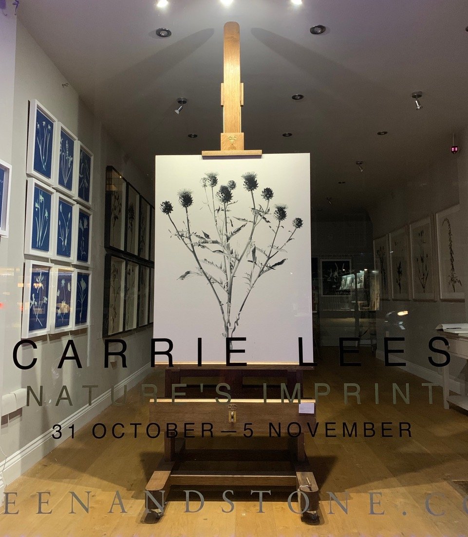 Exhibitions — CARRIE LEES STUDIO