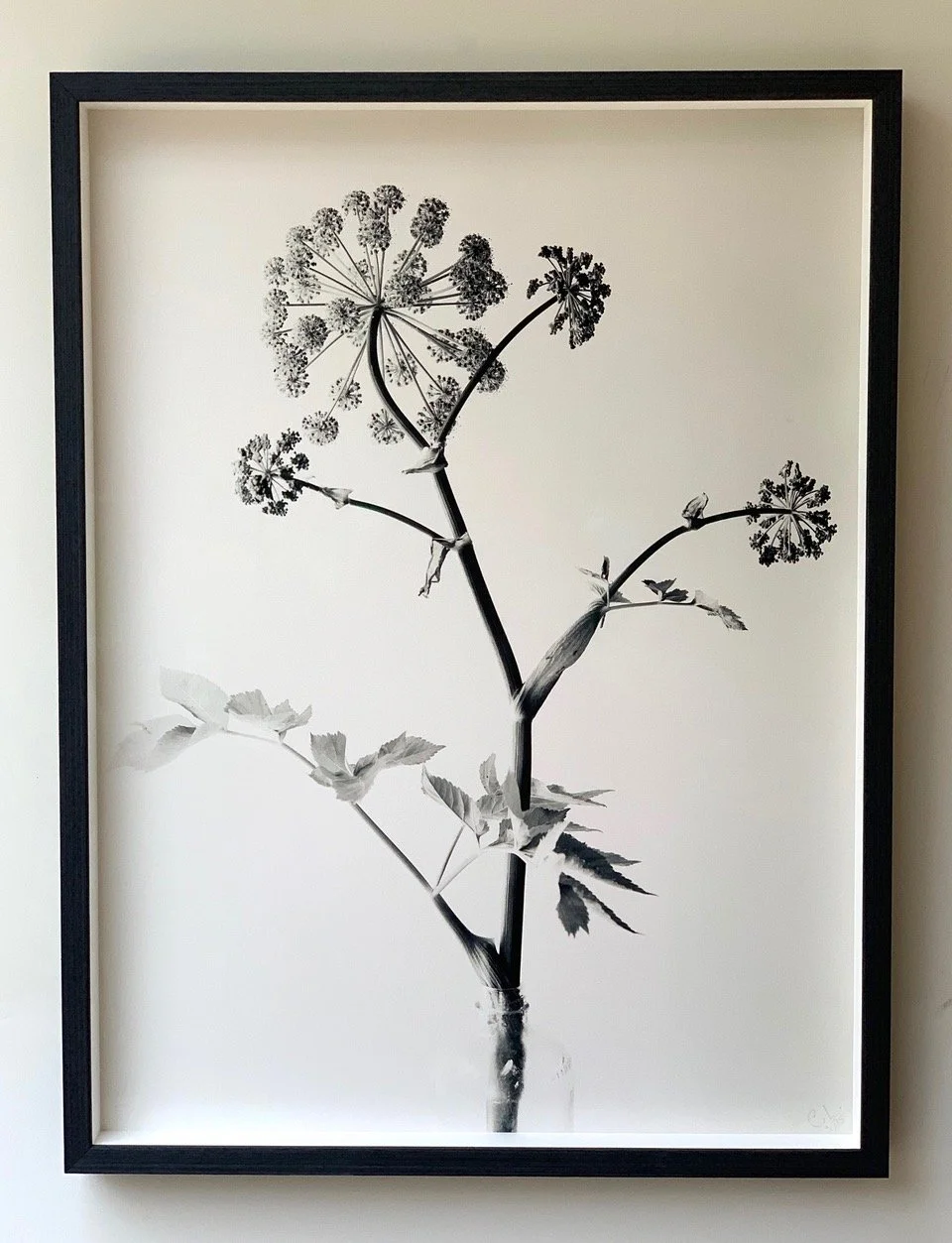 Framing example of Black and White Prints