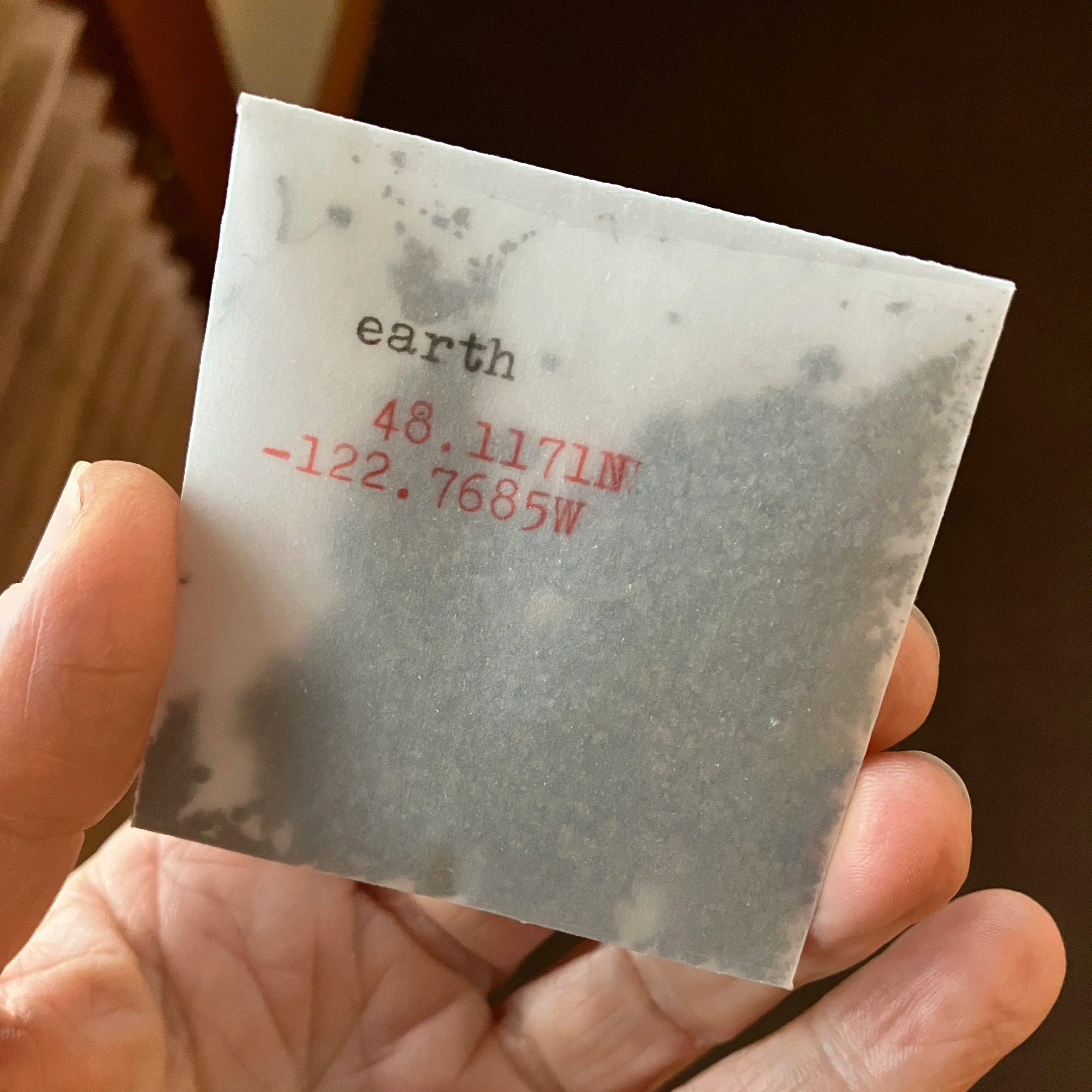 The best art I ever made was free and compostable