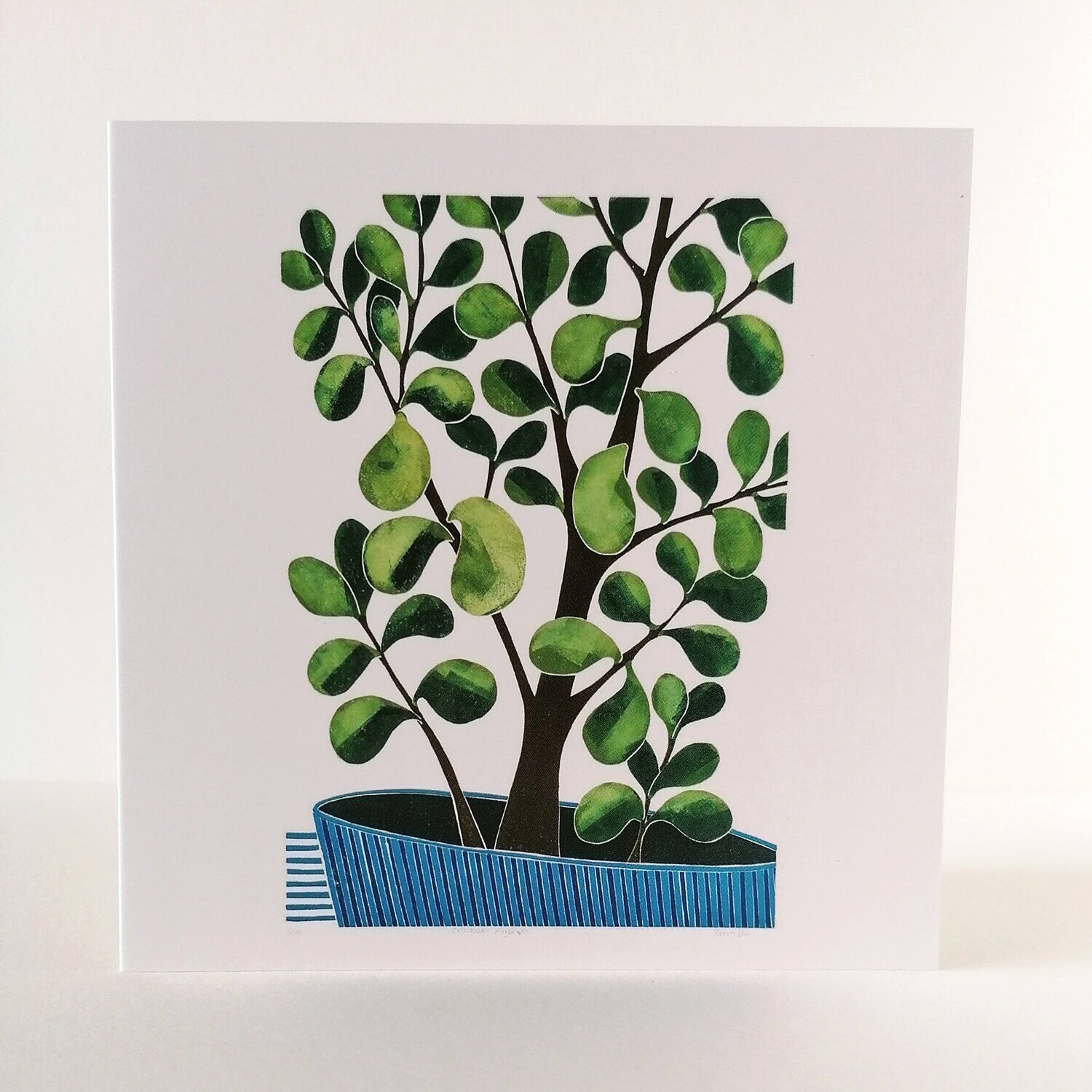 Crassula Argentea Money Tree Plant Botanical Art Greeting Card