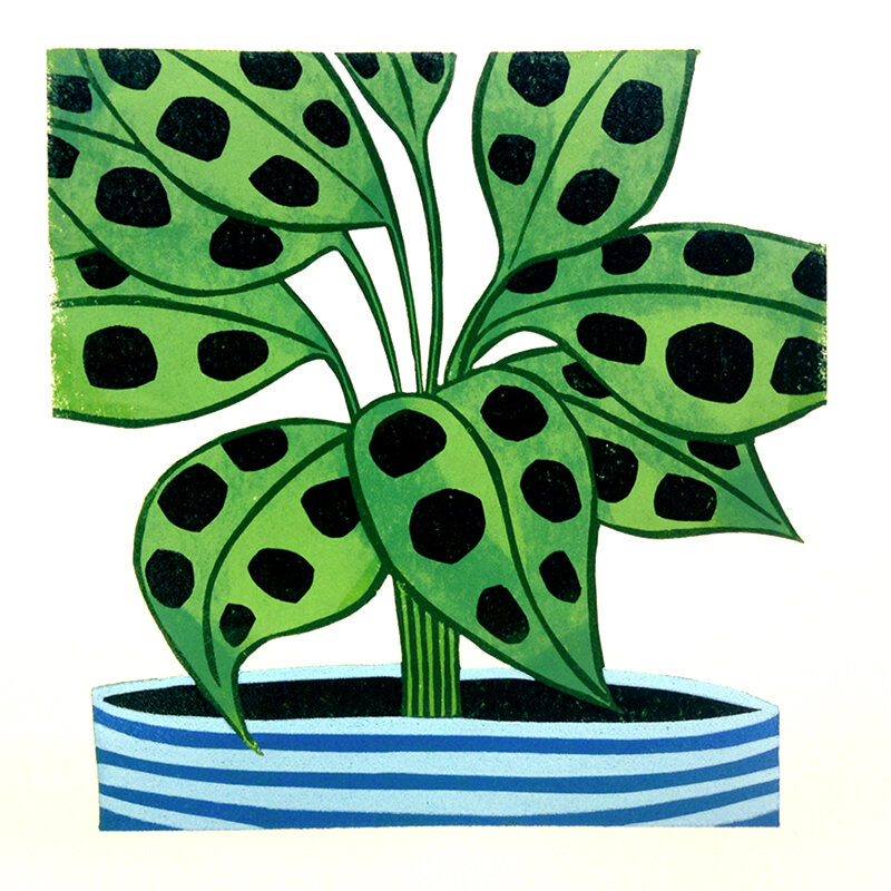 Kerry Day Arts Maranta Leuconeura Reduction Lino Print.jpg