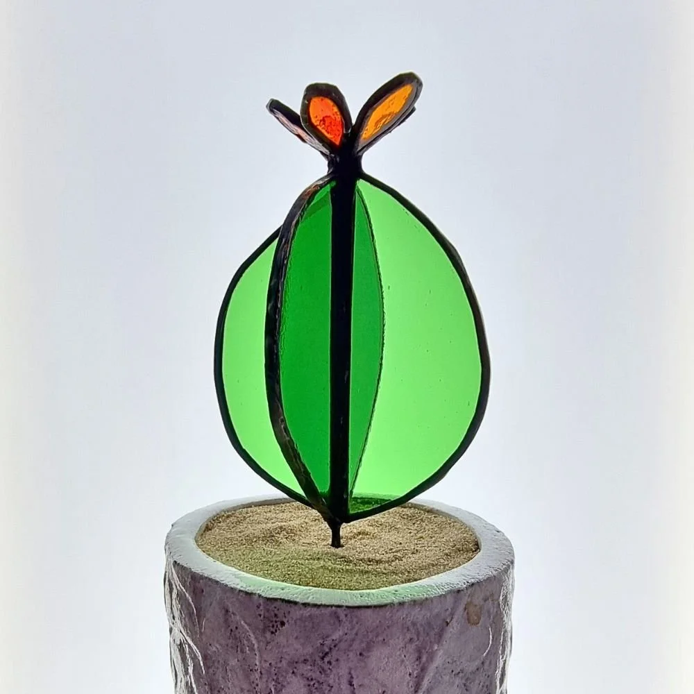 3c Glass Cactus Kerry Day Arts.jpg