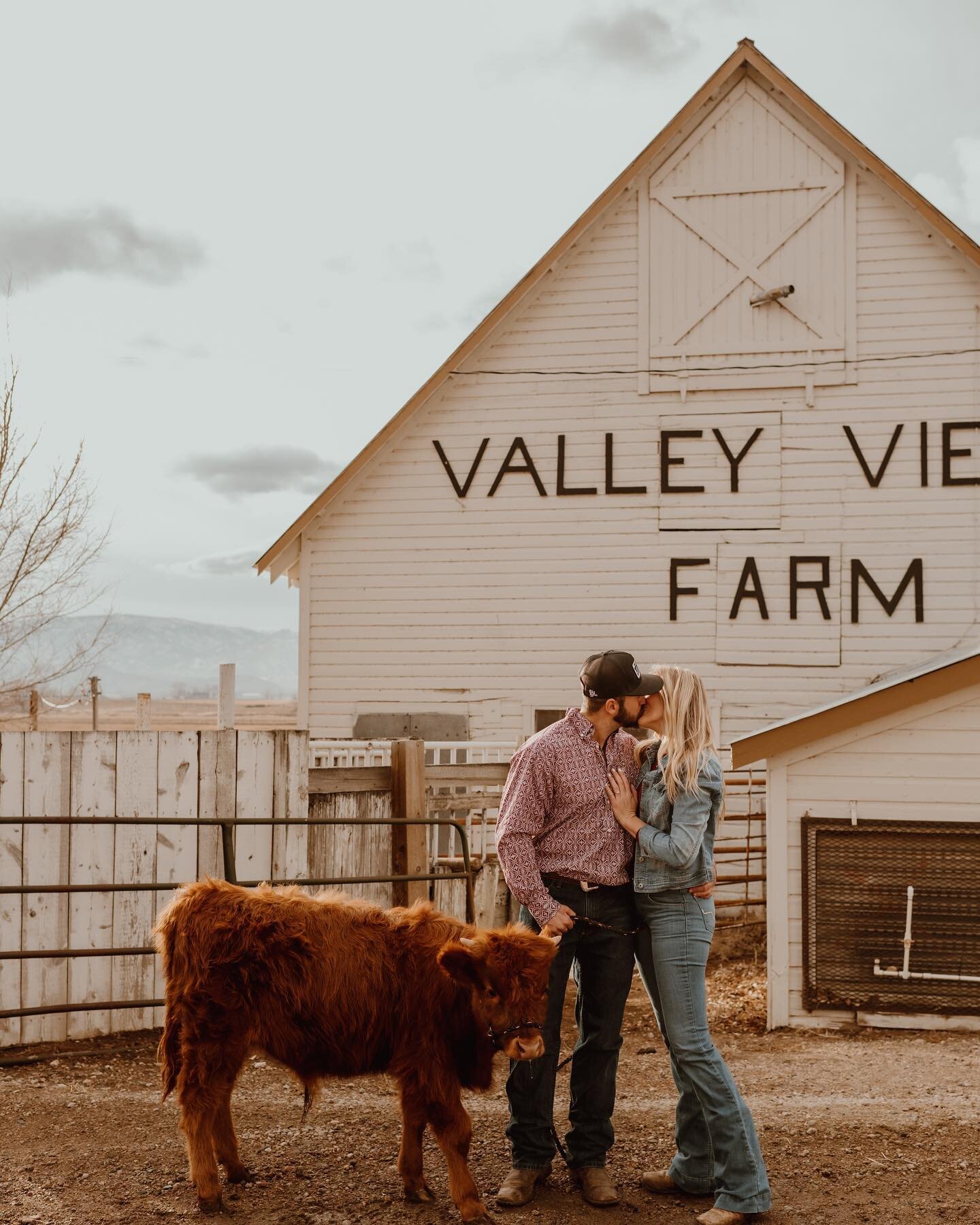 I think Garrett really stepped up the game of proposing when he asked Millie to be his wife using a highland calf. I mean - that is literally the best proposal I&rsquo;ve ever heard! So it was only natural we had Ernie have the spotlight for some of 