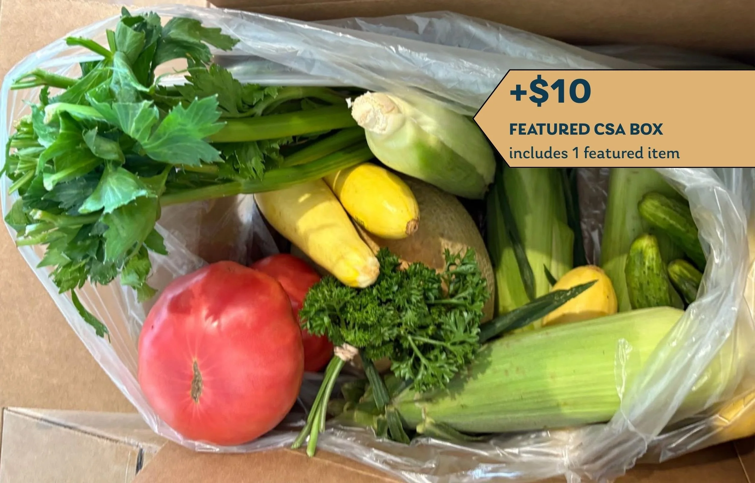 CSA Featured Item Farm-Fresh Food Box