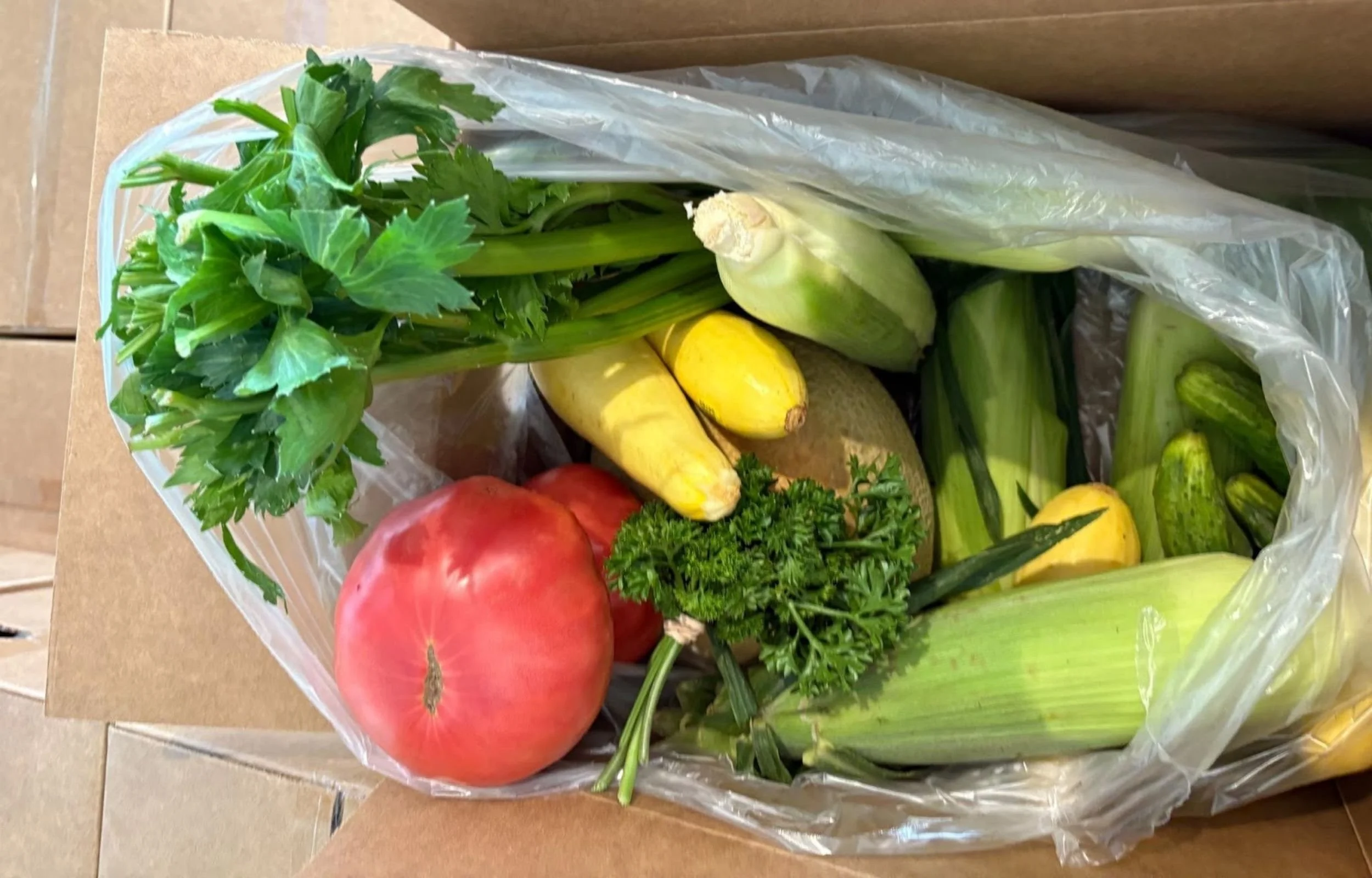 Equity Easts CSA.jpg (Copy)