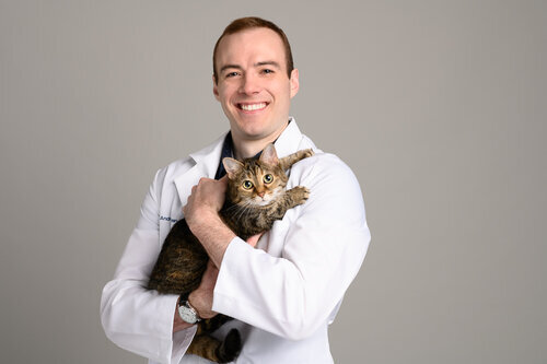 BLVD_Vet_Bean_Peters-069-Edit_Web.jpg