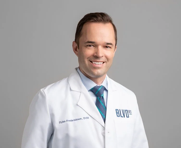 Our Veterinarians — BLVD Vet Chicago Logan Square, River North