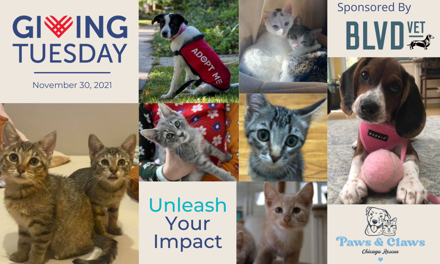 Giving+Tuesday+Paws+and+Claws+Banner.png