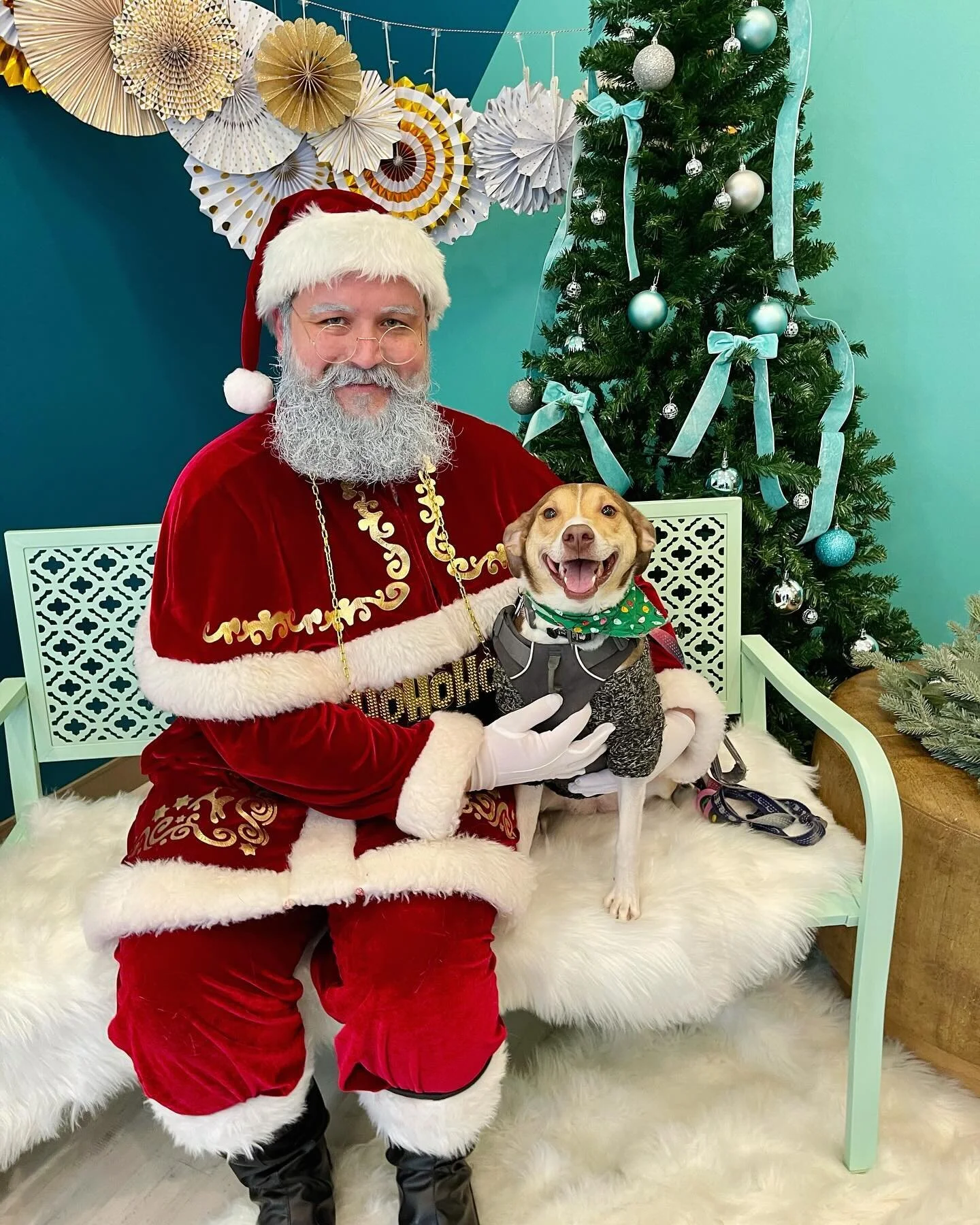 contactrn — BLVD Vet Chicago Logan Square, River North, Ravenswood