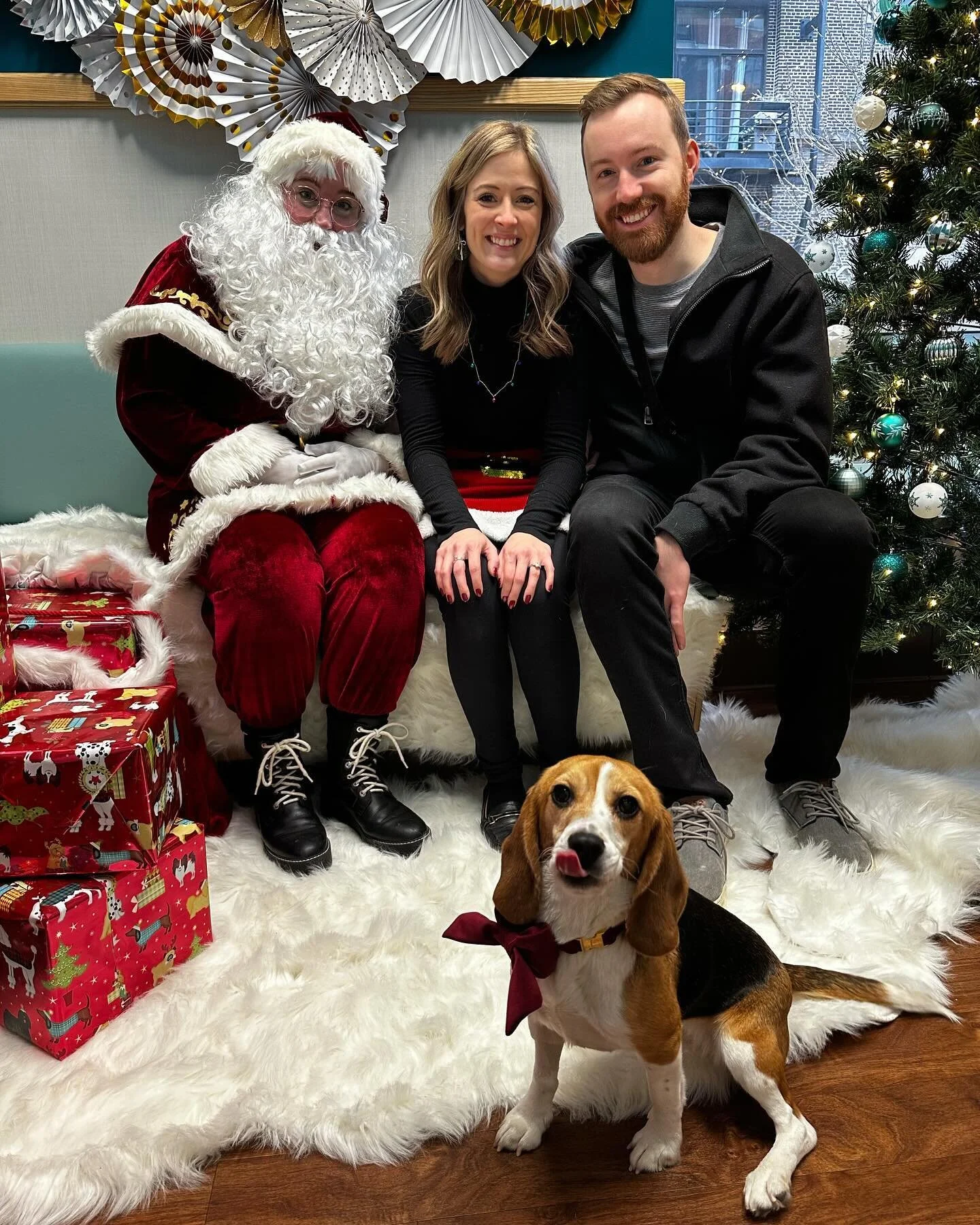 BLVD Vet Logan Square Appointment Request — BLVD Vet Chicago Logan