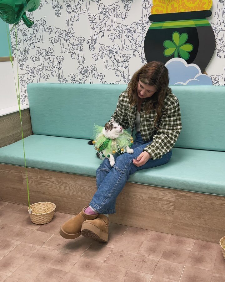 ☘️🌈 Lil Leprechauns event is live at BLVD Vet Lakeview East! ⁣
⁣
🐾 Stop by now through 8pm for your free photo and paw print flower pot 🌷
⁣
⁣
⁣
⁣
⁣
⁣
⁣
⁣⁣⁣⁣⁣⁣
#blvdvet #chicagovet #logansquare #rivernorth #ravenswood #lincolnsquare #andersonville 