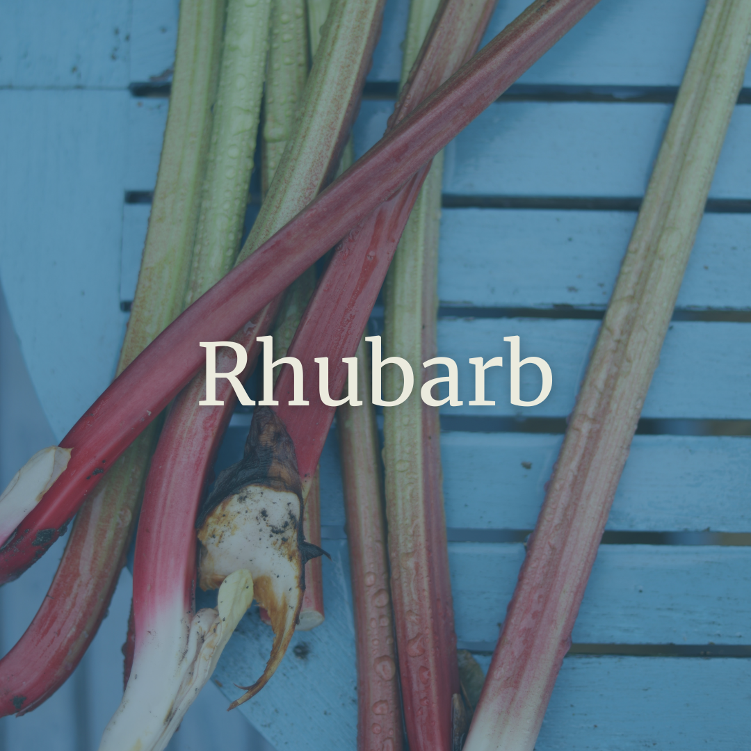 Rhubarb.png
