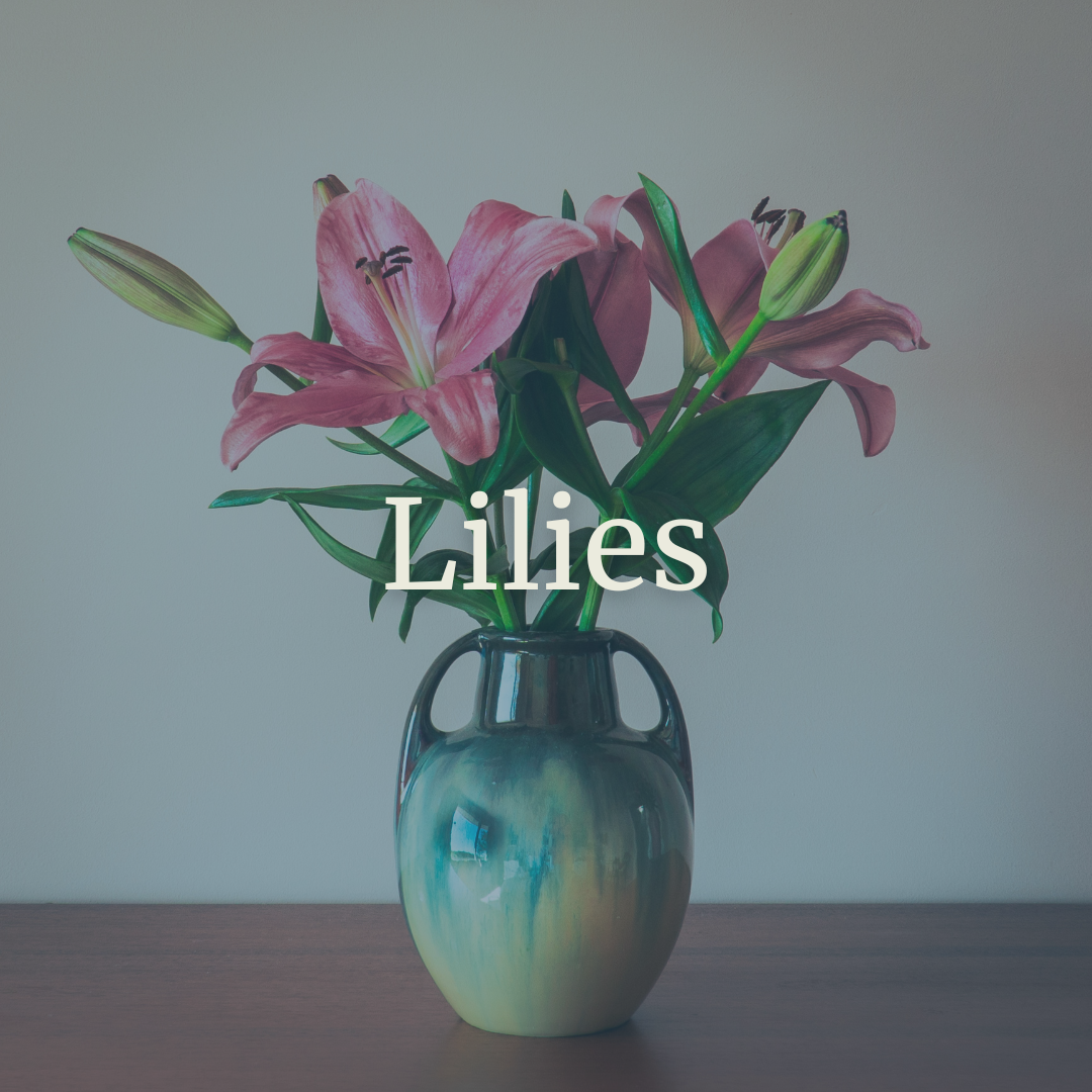 Lilies.png