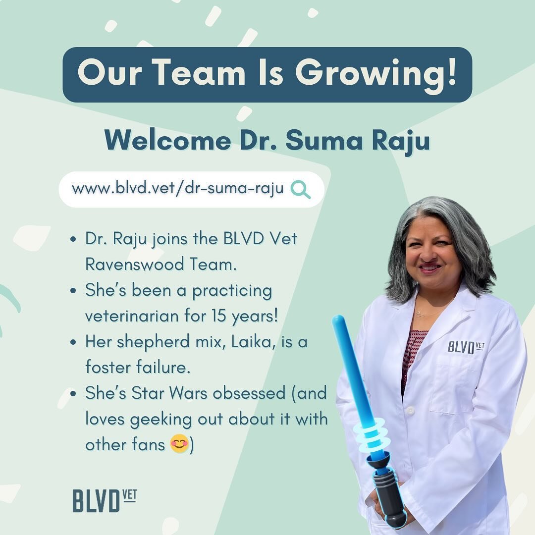 Our Team Is Growing! 🩺⁣
⁣⁣⁣⁣⁣⁣⁣⁣⁣⁣⁣
We are thrilled to share that Dr. Suma Raju has joined the BLVD Vet Ravenswood team. A word from Dr. Raju:⁣
⁣
&ldquo;I was a software consultant for several years during which time I often dreamed of becoming a ve