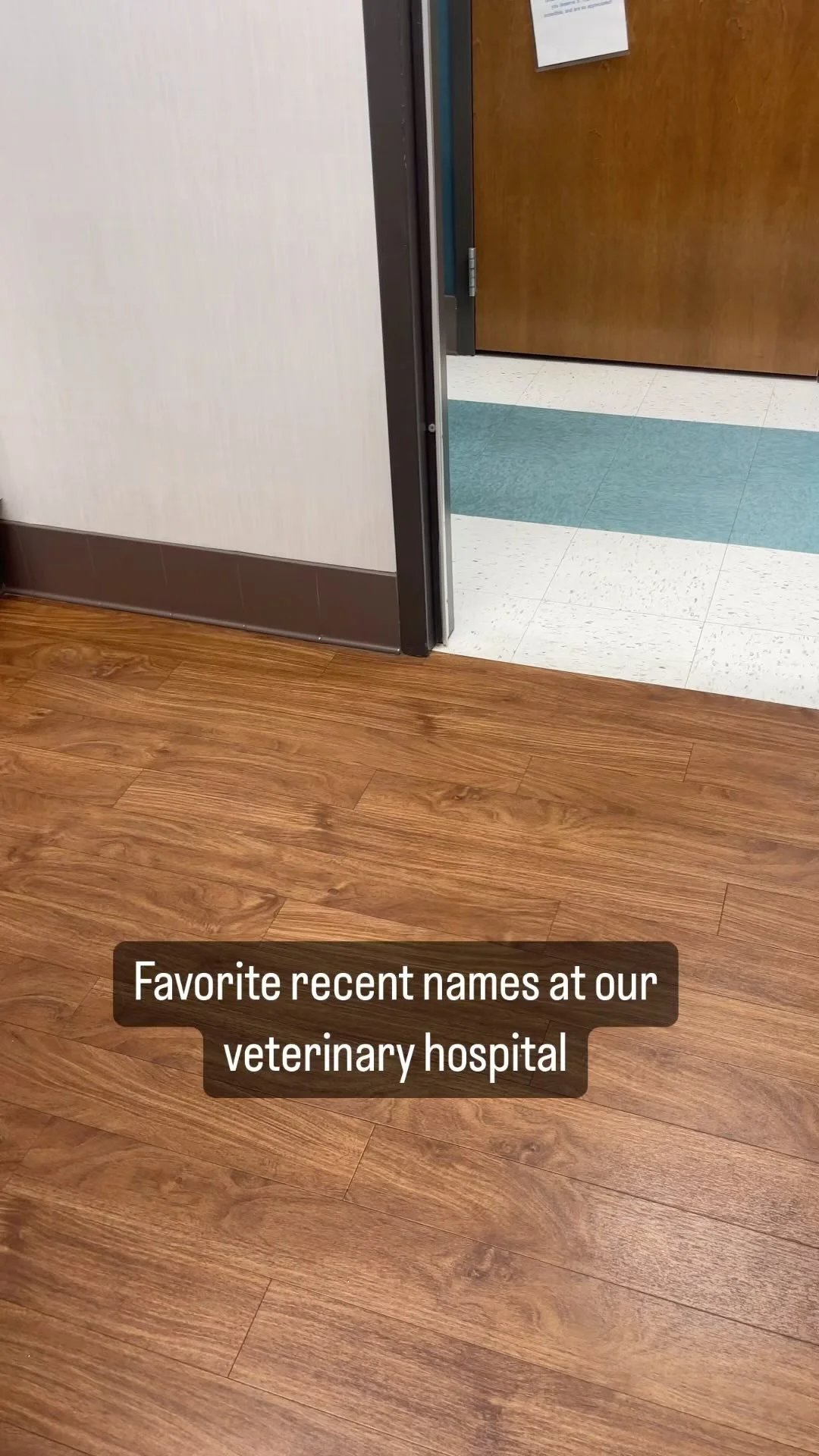 BLVD Vet Logan Square — BLVD Vet Chicago Logan Square, River North