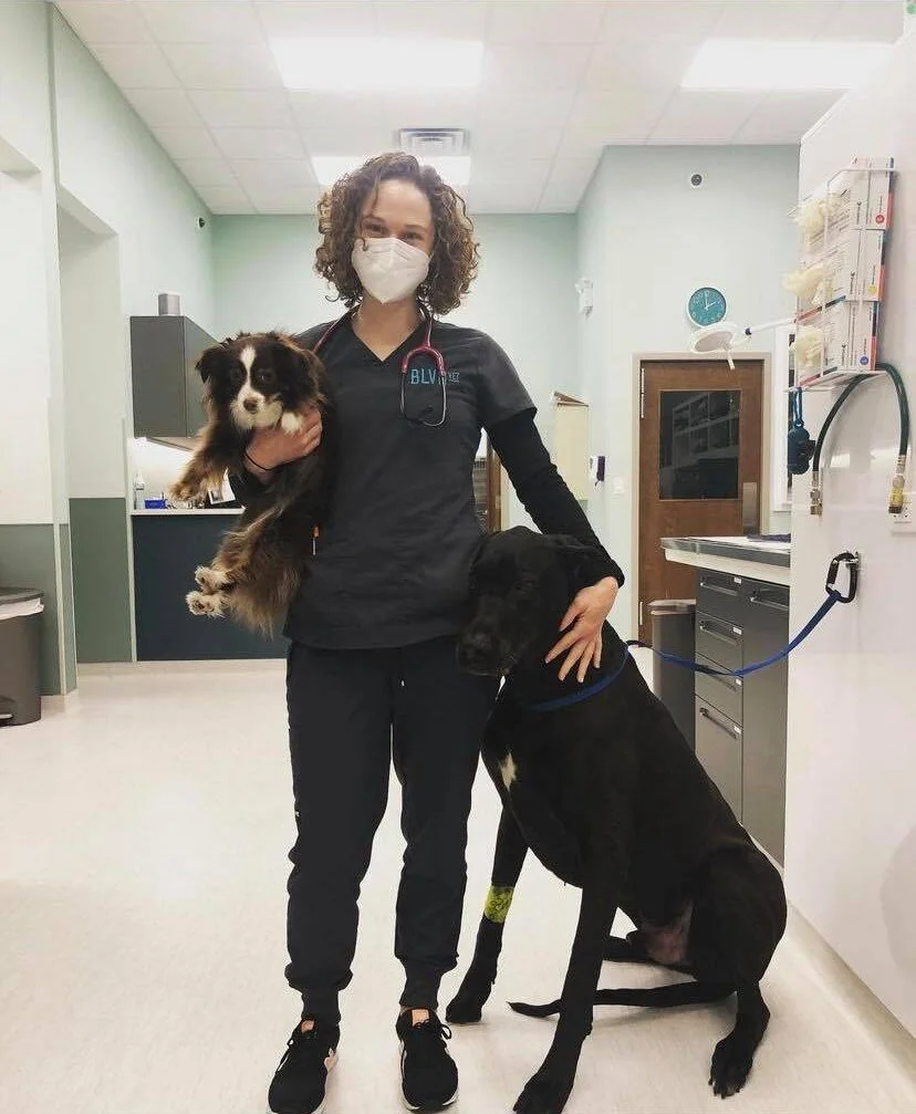 Veterinary Technician Career BLVD Vet Chicago — BLVD Vet Chicago