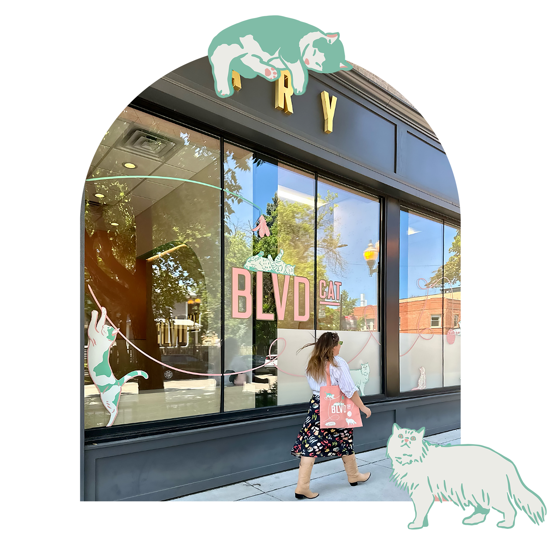 BLVD Vet Chicago