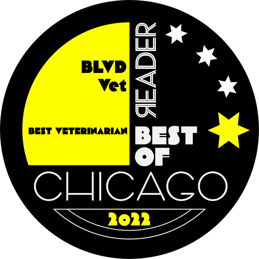 BLVD Veterinary Ravenswood, Chicago — BLVD Vet Chicago Logan Square