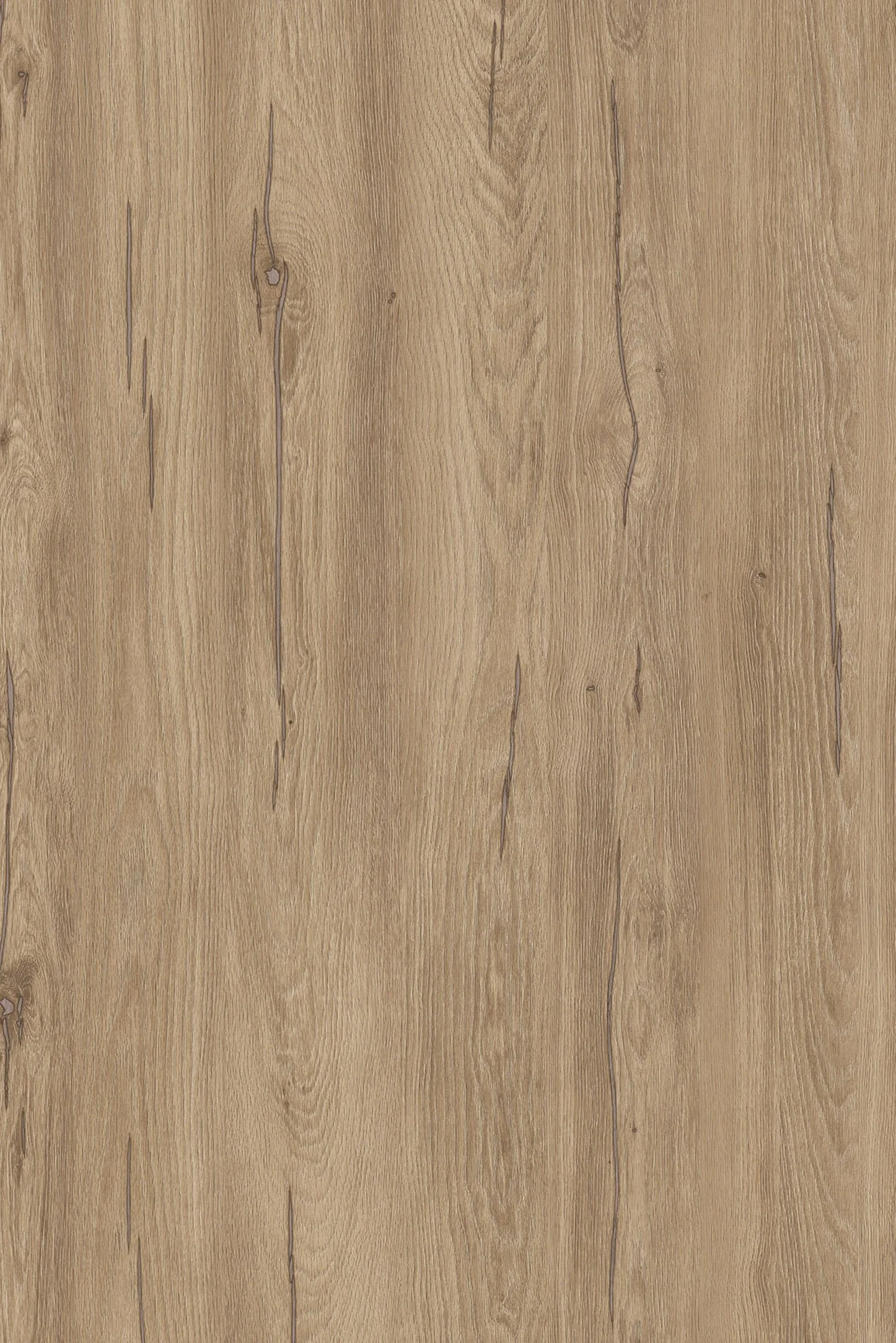 Kronospan K544 RW - Hazel Silverjack Oak