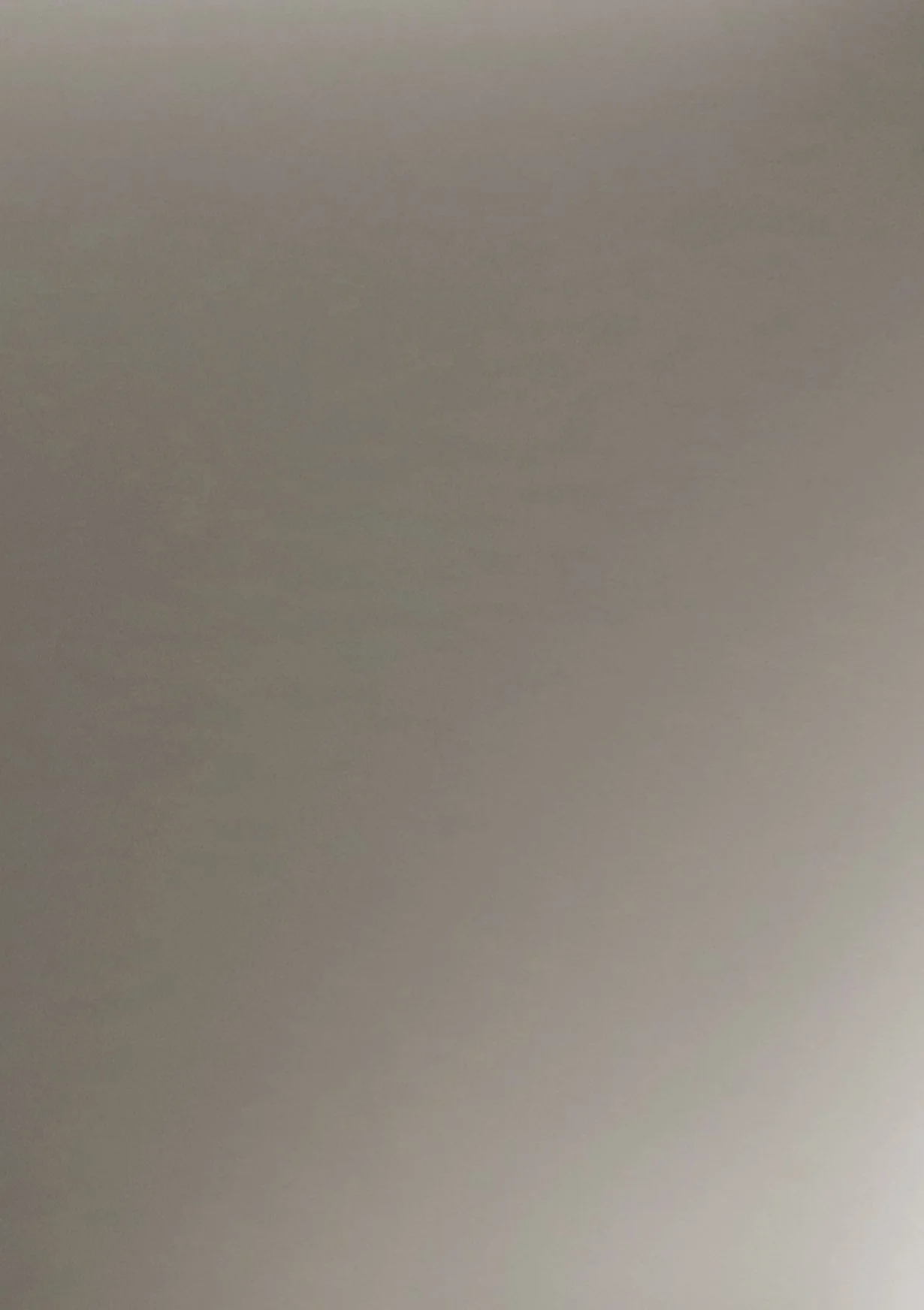 AGT 6023 SPECTRUM LIGHT METALLIC.jpg