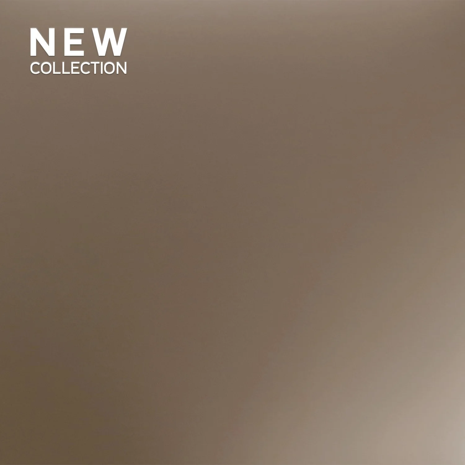 6026 - Spectrum Rose