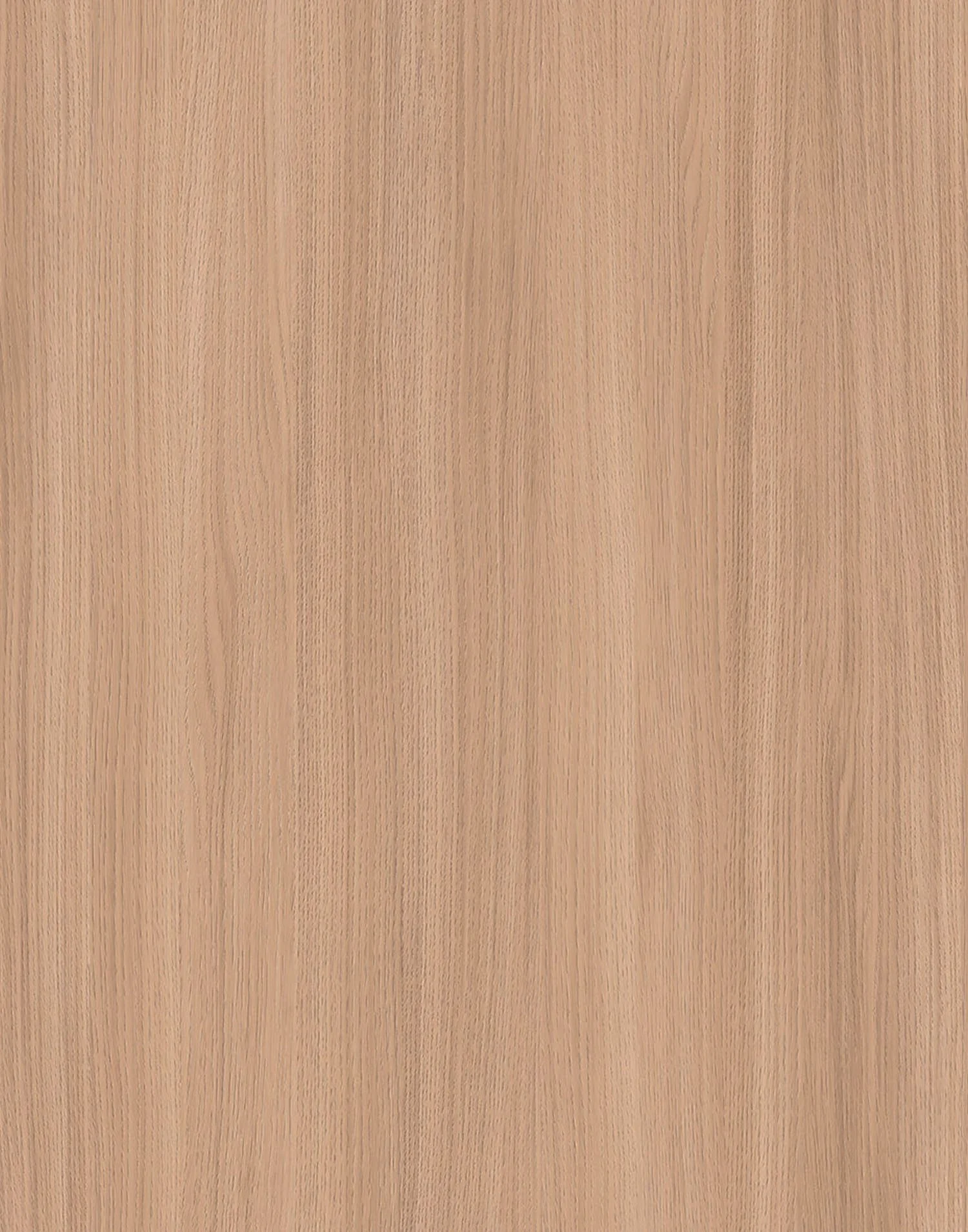 Kronospan K543 SN - Sand Barbera Oak
