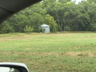 IMG_7883.jpeg