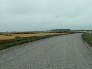 IMG_7876.jpeg