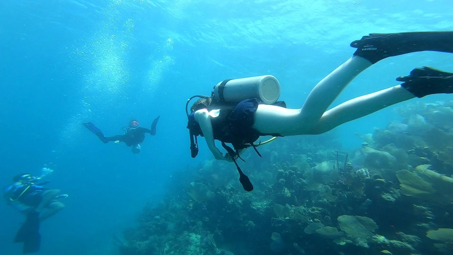 Utila - An adventure of a lifetime!