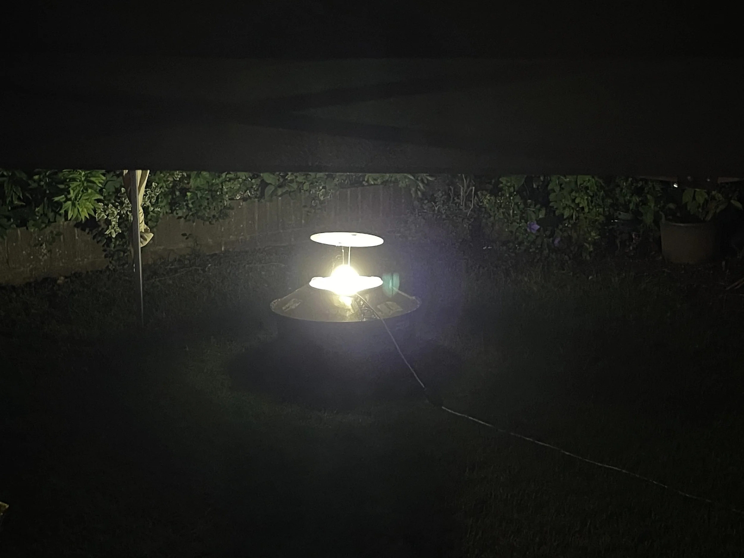 IMG_4189.jpeg