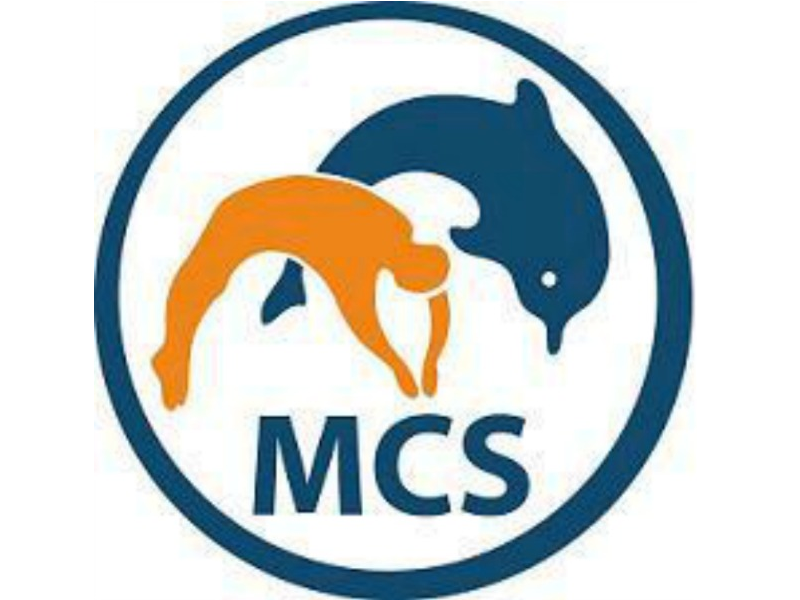 mcs_small.png