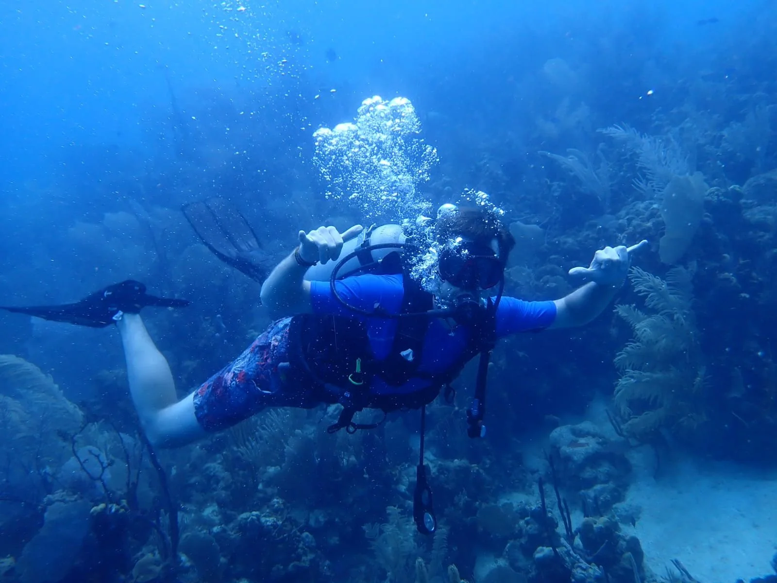 Utila - An adventure of a lifetime!
