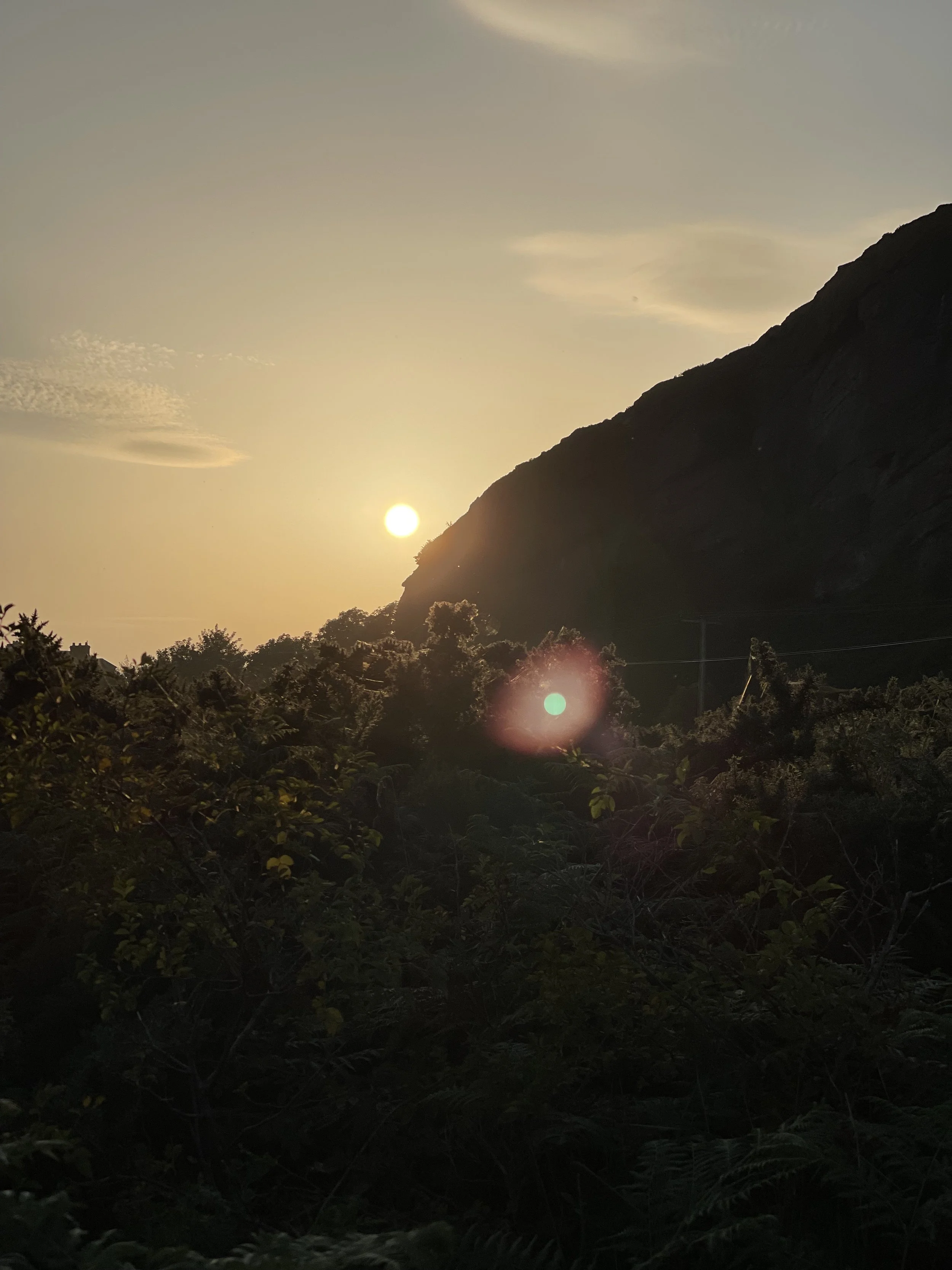 IMG_5087.jpeg