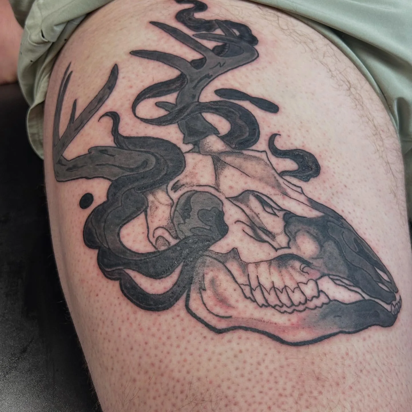 big ol deer skull &gt;:-) I love doing spooky stuff