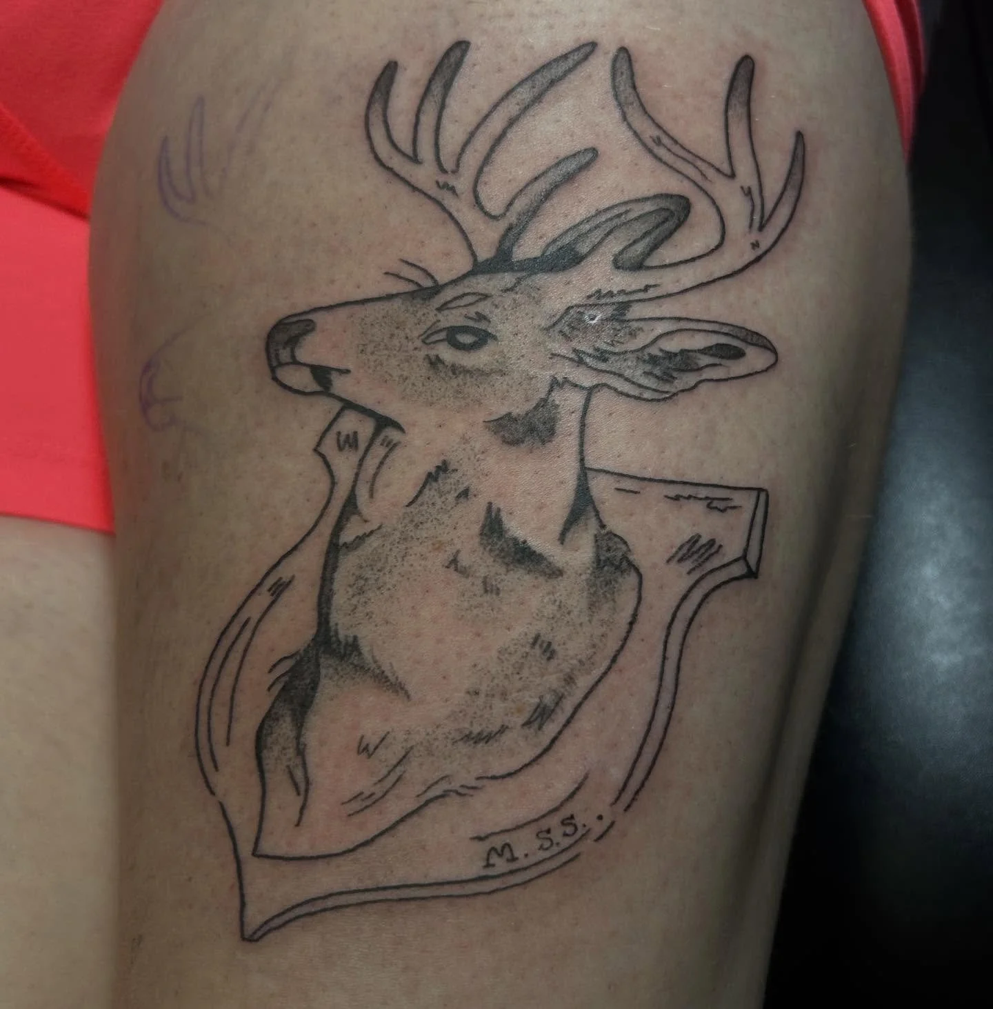 I took this photo at a weird angle oops, little edited deer flash as a walk in! Thanks again!!!