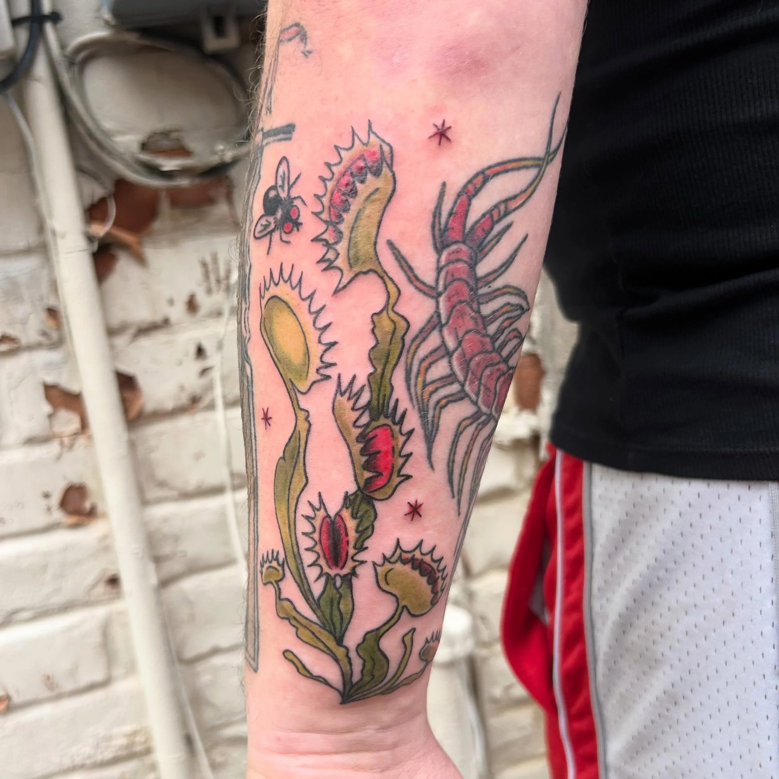 Some Venus fly traps for @speakingdiamond not too many spots left on this arm >:&bull;)
