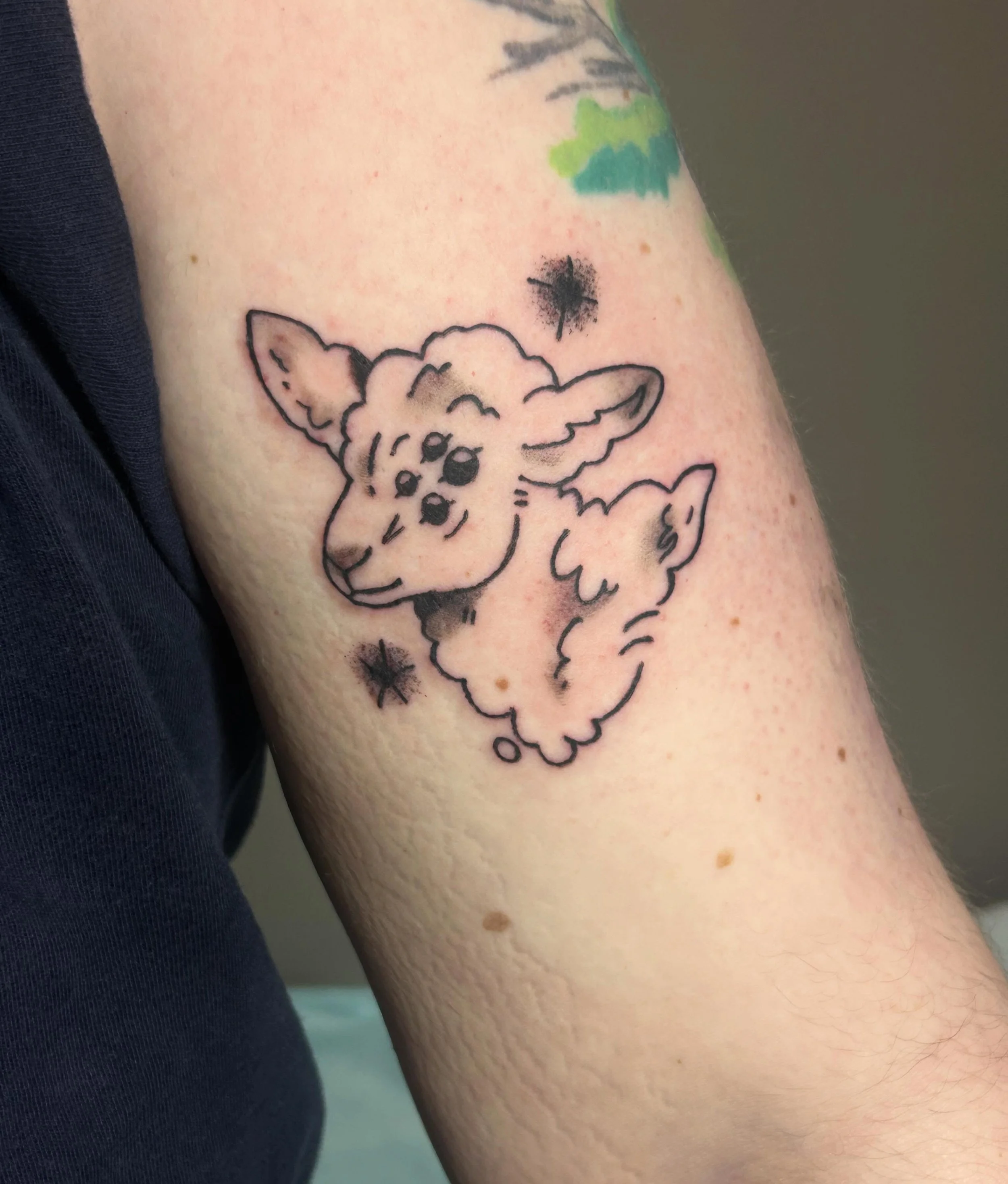 Spider eyed lamb 🕸️🕷️loveddddd doing this tattoo, more stuff like this guy >:&bull;)