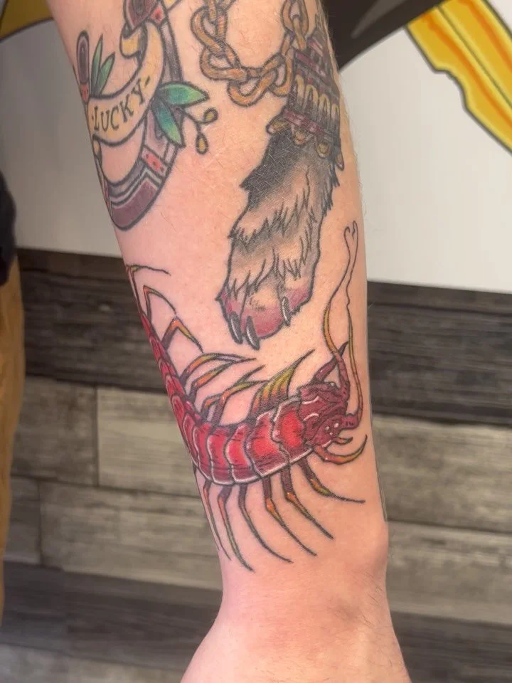 A creepy crawly critter for @speakingdiamond &hearts; thank you for letting me hurt you!! Other healed work from me.