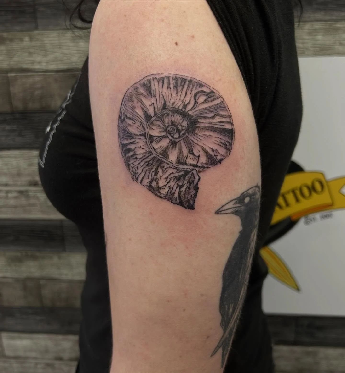 Gothic ammonite pen sketch!! Next to healed crow tattooed by me :&bull;) I love it when peeps bring in their own artwork it&rsquo;s always super fun to make into a tattoo