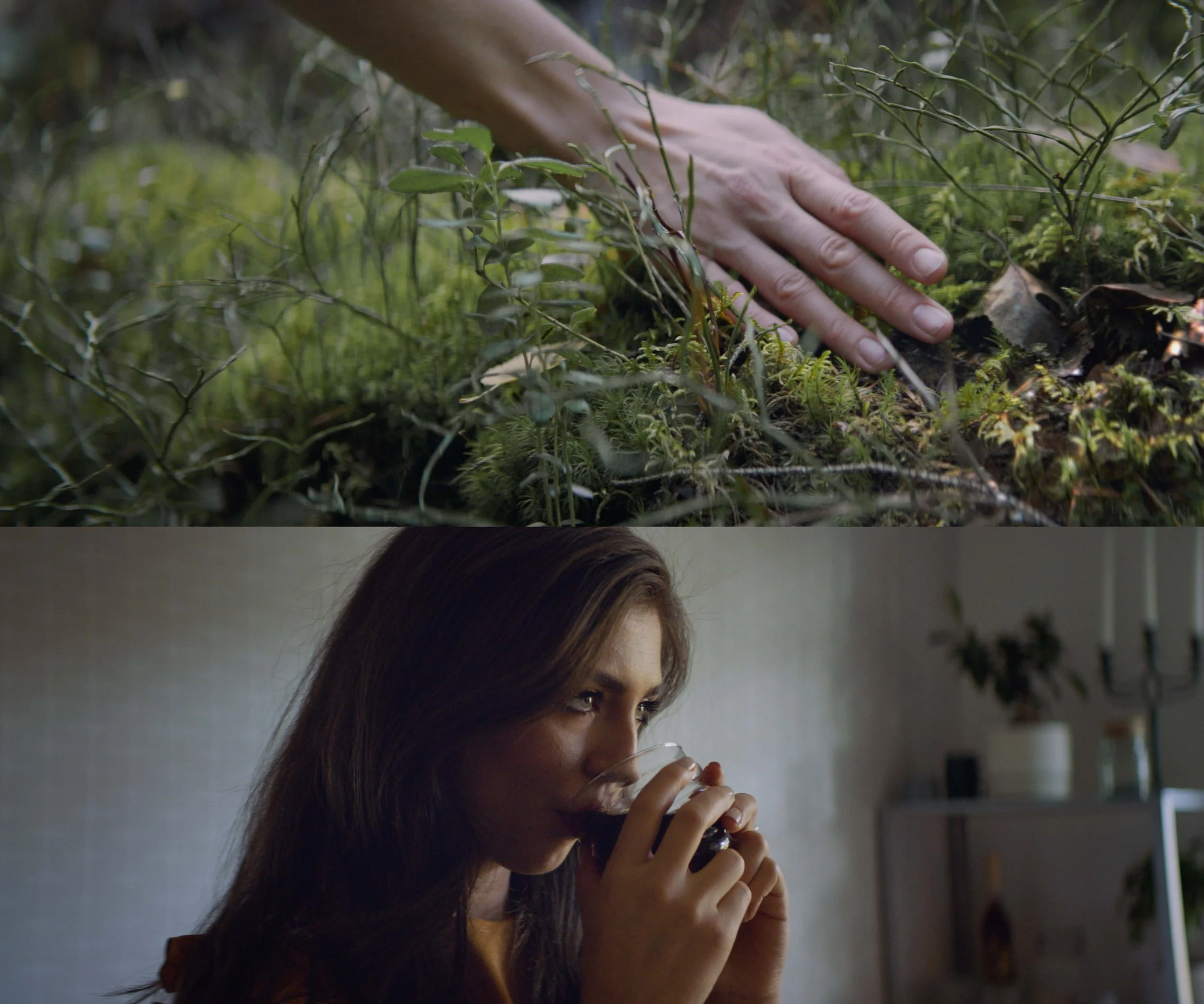 Puhdistamo Double_Low Res_3.jpg