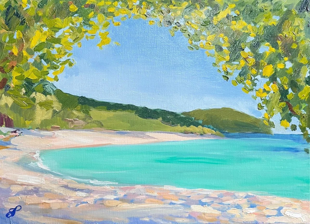 18-lagoon-long-lunch-mustique.jpg