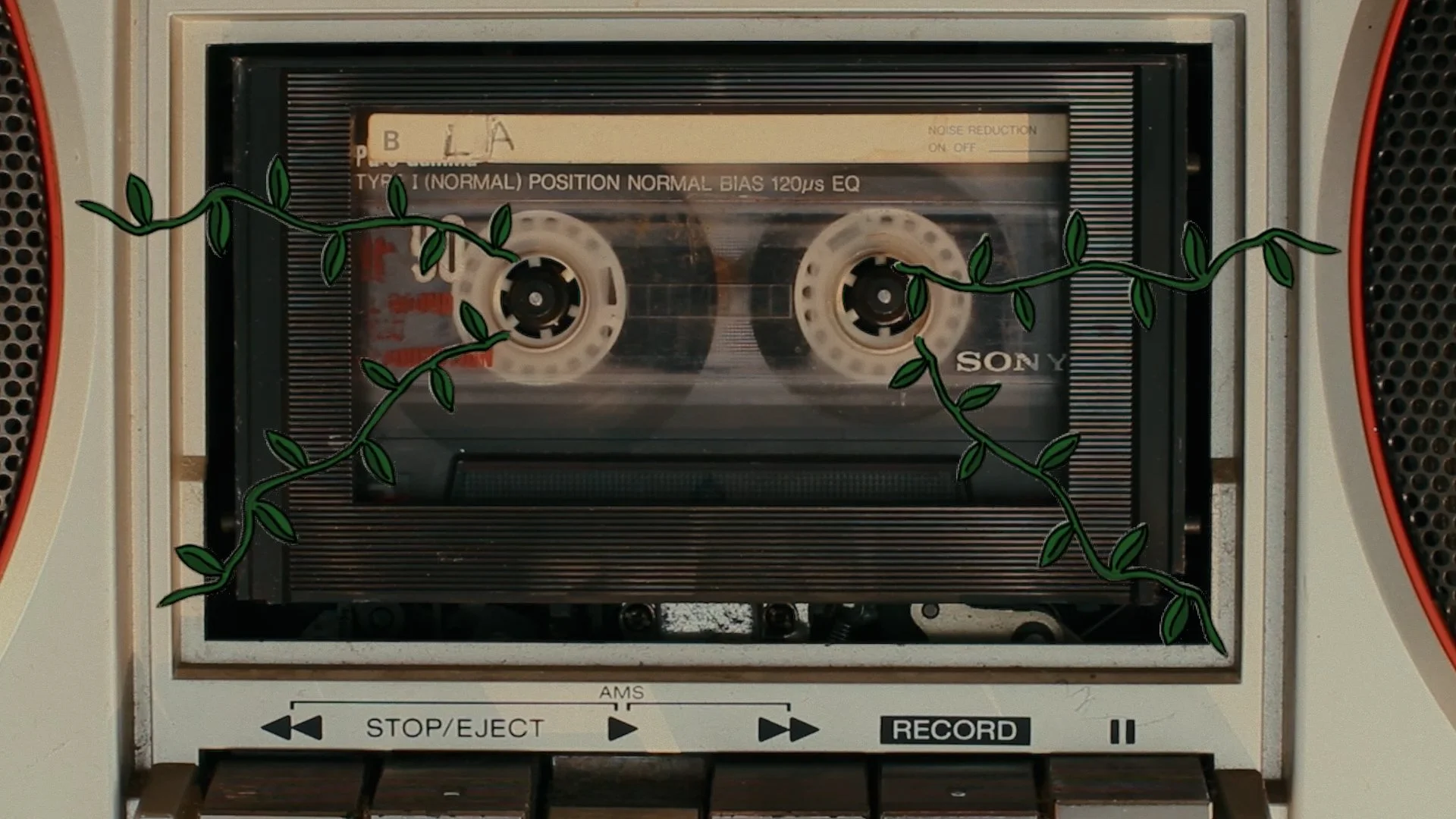 07 FG_Vines from Tape.jpg