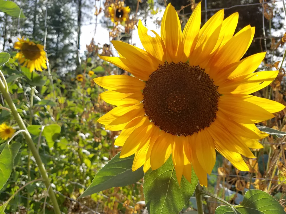 20190824_175412.jpeg