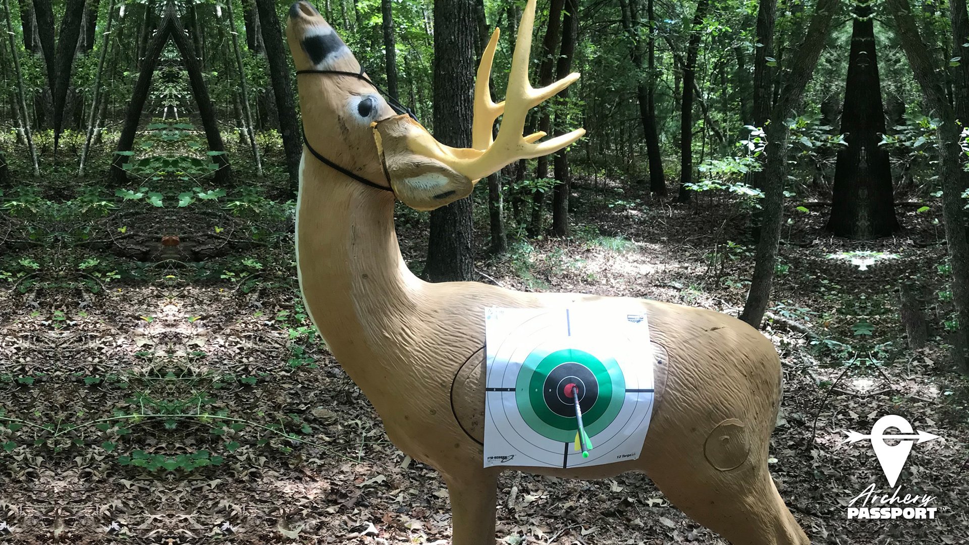 Deer 3-D target with arrow  (Copy) (Copy) (Copy)