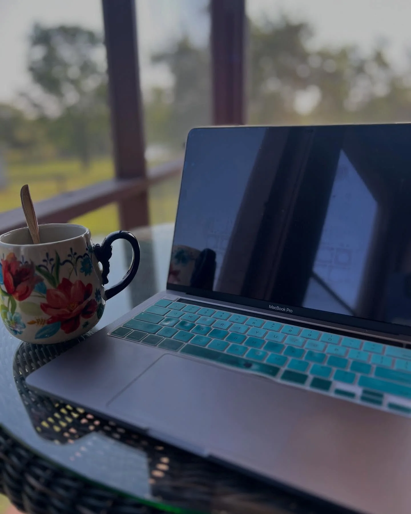 Registered for ACFW? Check. Tea? Check. Computer? Check. Spring day backdrop with view and birds chirping? Check. #writer #writinginspiration #writerslifestyle #writerly #writersonig #writerschecklist #acfw