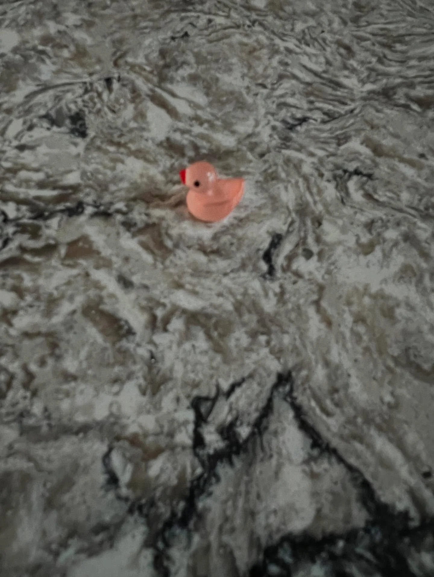 Snapshot of my life. There&rsquo;s a duck invasion in my home. My ornery kid(s) have planted these tiny little ducks all over my house. This one I found in my teacup. It&rsquo;s a gas. It&rsquo;s a hoot. It makes me laugh every time I find one. What 