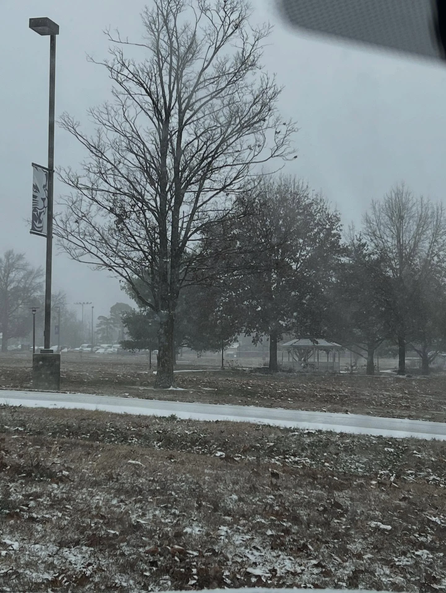 It&rsquo;s snowing in the Ozarks. #december #firstsnow #snow #letitsnow