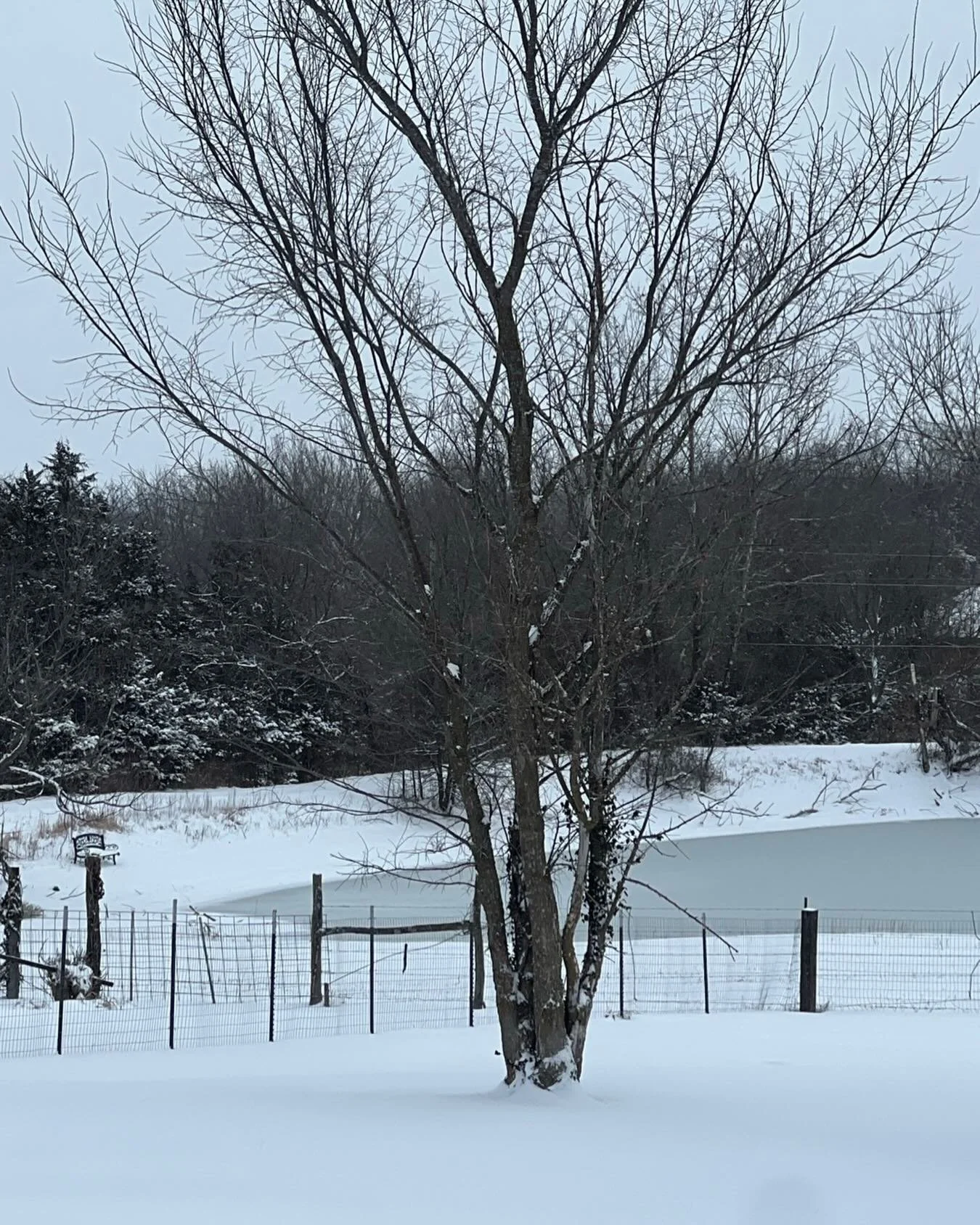 It&rsquo;s Fun Fact Friday! According to www.weathermate.net, The Great Blizzard of 1888 (March 12-14, 1888) hit the East Coast and is considered one of the worst blizzards in US history. Supposedly they called it The White Hurricane. #funfacts #frid