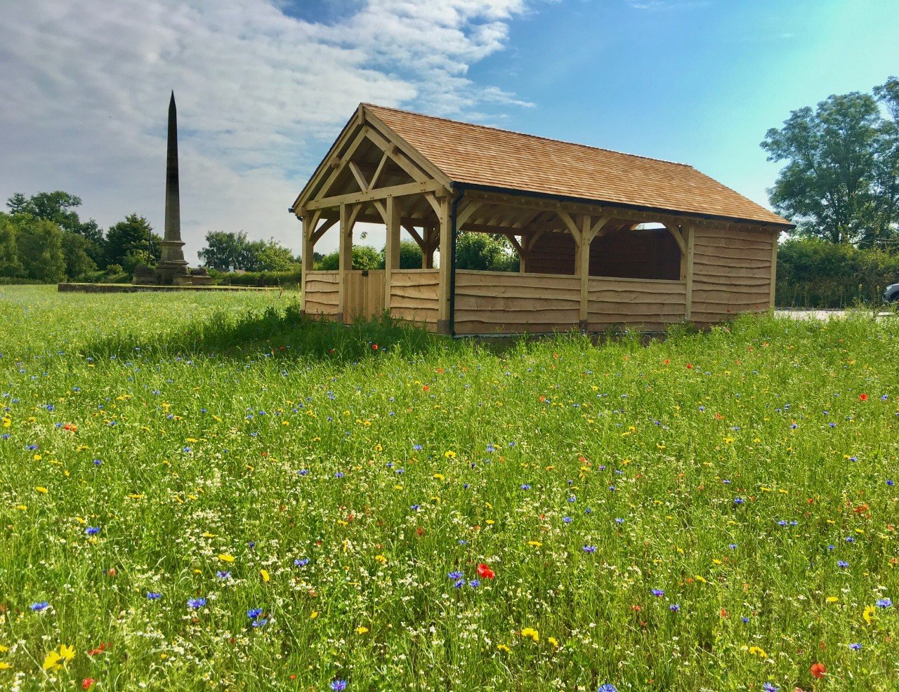 monument meadow natural burial ground.jpg